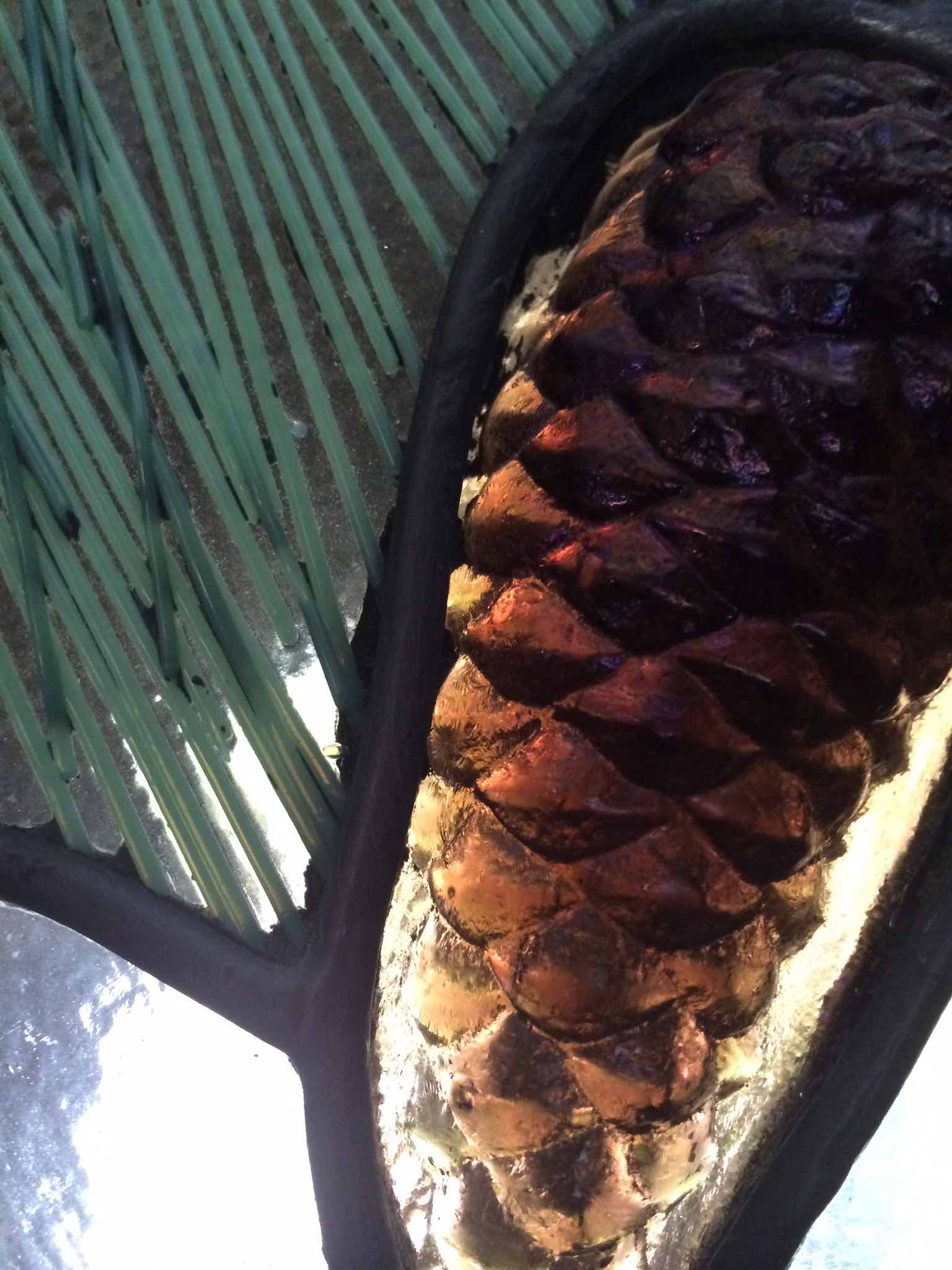 Textured pine cone